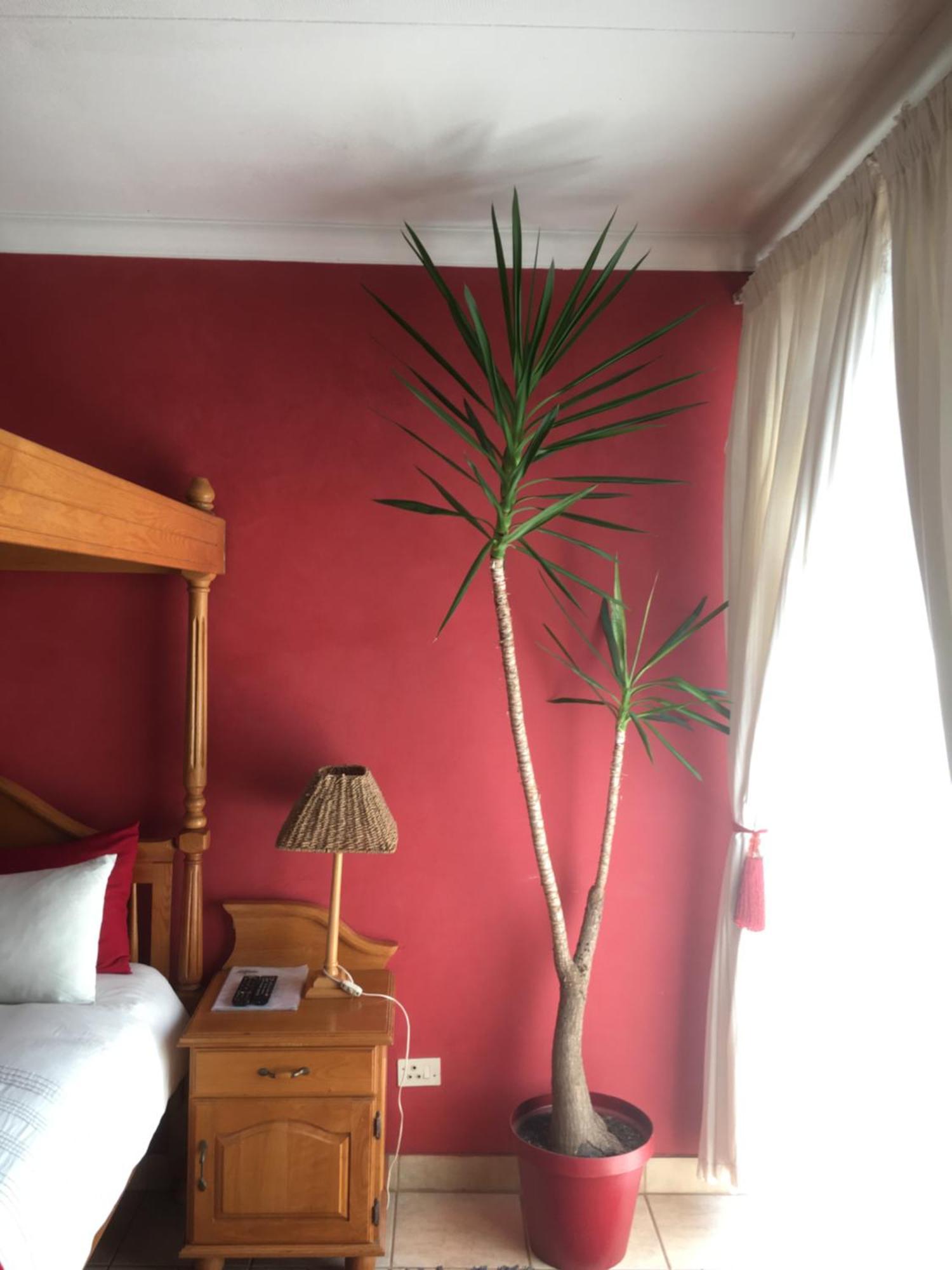 Birrea Guest House Полокване Екстериор снимка