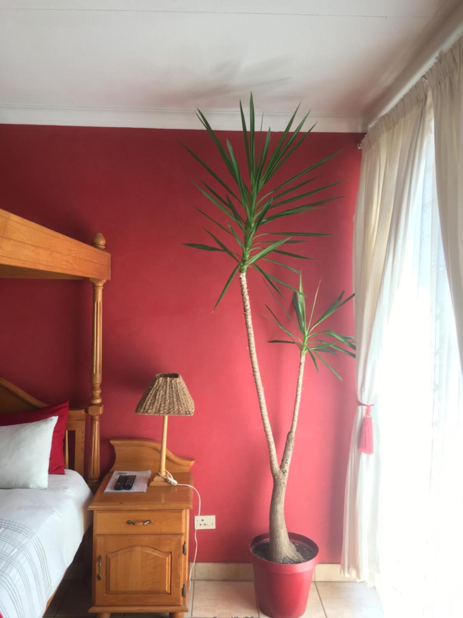 Birrea Guest House Полокване Екстериор снимка